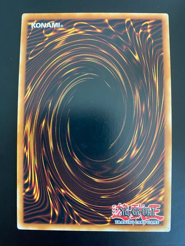 Yugioh Dogmatika Punishment ROTD-EN070 Common 1st Edition NM