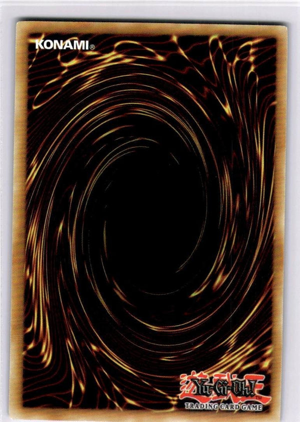 Yugioh Widespread Ruin SBC1-END20 Common 1st Edition NM
