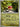 Pokemon Applin 138/191 Surging Sparks Reverse Holo NM