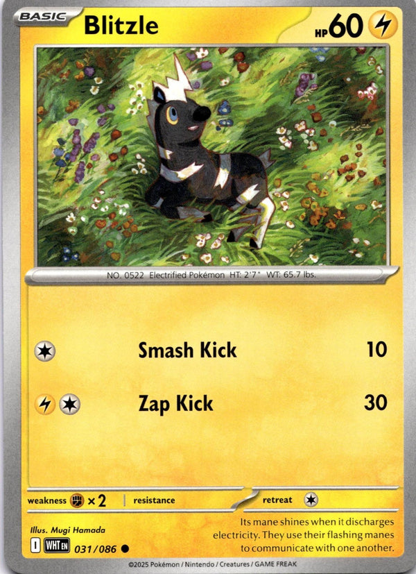 Pokemon Blitzle 031/086 White Flare Non Holo NM