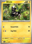Pokemon Blitzle 031/086 White Flare Non Holo NM
