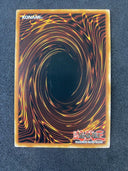 Yugioh Amazoness Pet Liger CIBR-EN094 Common 1st Edition NM