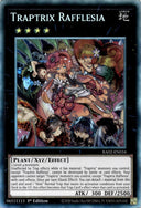 Yugioh Traptrix Rafflesia RA02-EN034 Collector’s Rare 1st Edition NM