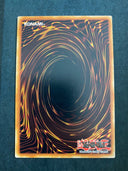 Yugioh Majestic Absorption DAMA-EN052 Common 1st Edition VLP/NM