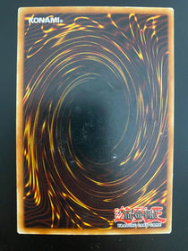 Yugioh Misfortune DP05-EN014 1st Edition Common LP