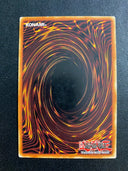 Yugioh Escalation of the Monarchs SR01-EN036 Common 1st Edition HP