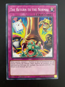 Yugioh The Return to the Normal RIRA-EN075 1st Edition Common NM