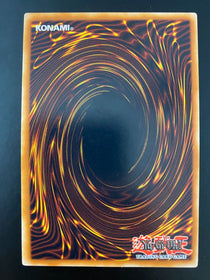 Yugioh Infestation Infection HA07-EN030 1st Edition (Foil Bleed) NM