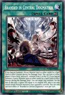 Yugioh Branded in Central Dogmatika POTE-EN058 Common 1st Edition NM