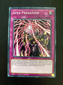 Yugioh Apex Predation BODE-EN084 Common 1st Edition NM