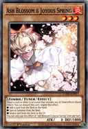 Yugioh Ash Blossom & Joyous Spring L5DD-ENY17 Common 1st Edition NM