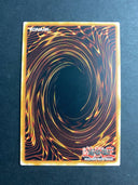 Yugioh Chimera the Flying Mythical Beast MZMI-EN040 Rare 1st Edition LP