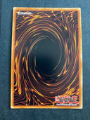 Yugioh Magician of Black Chaos MAX TN19-EN002 Secret Rare Limited Edition NM