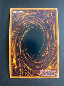 Yugioh Fury of Fire DANE-ENSE2 Super Rare Limited Edition LP