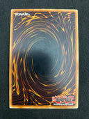 Yugioh Hero Medal DP06-EN021 1st Edition Common HP-MP