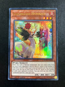 Yugioh Firebrand Hymnist DUOV-EN028 Ultra Rare 1st Edition LP