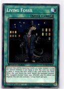Yugioh Living Fossil SGX2-ENC16 Common 1st Edition NM