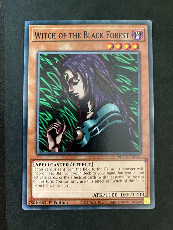 Yugioh Witch of the Black Forest SDCK-EN024 Common 1st Edition NM