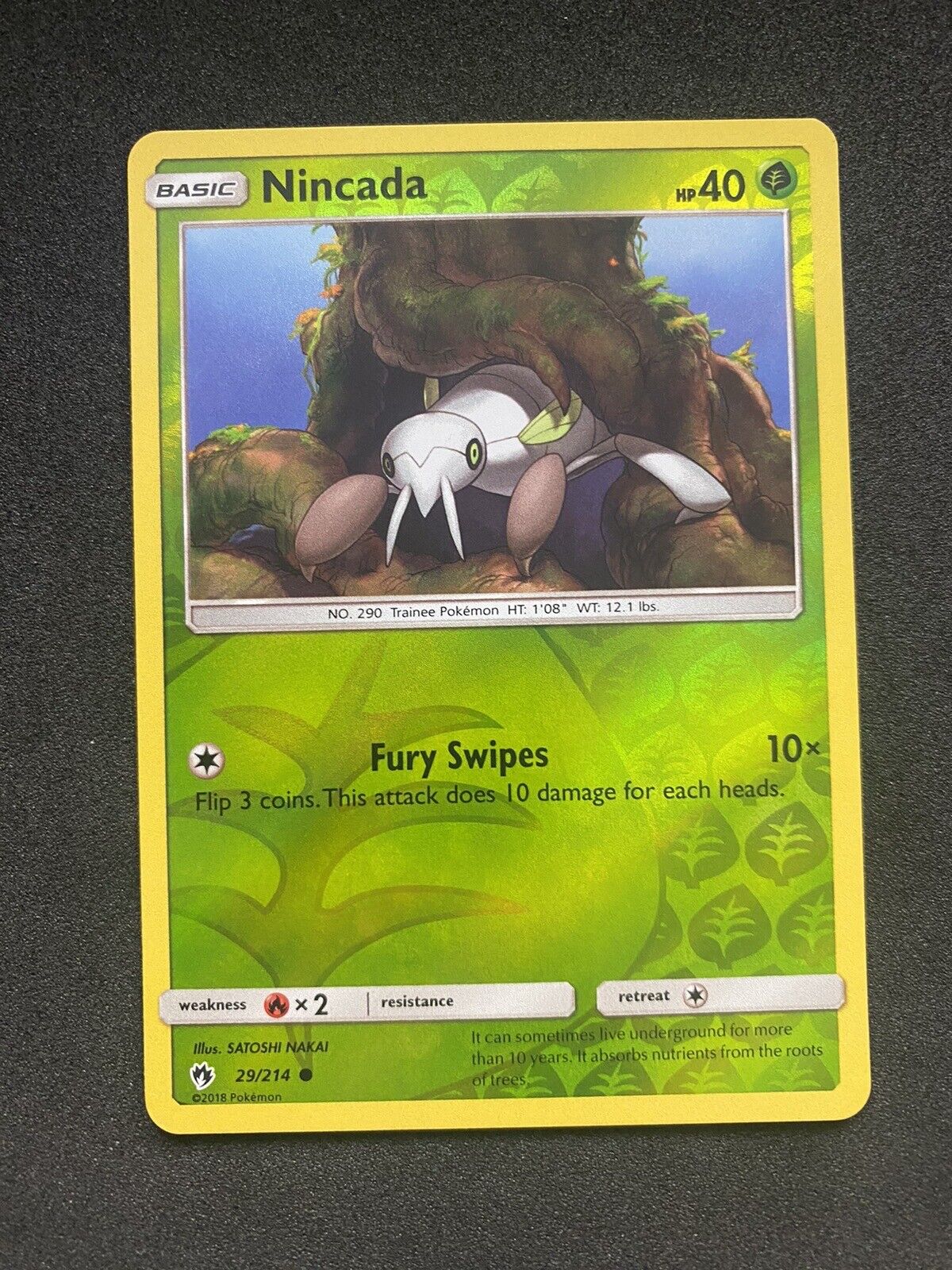 Pokemon Nincada 29/214 Lost Thunder Reverse Holo NM