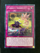 Yugioh Purrely Sharely!? DUNE-EN075 Common 1st Edition NM