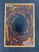 Yugioh Blackwing Tamer - Obsidian Hawk Joe PGL2-EN012 Gold Secret 1st Edition NM