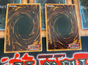 Yugioh D/D Nighthowl SDPD-EN009 (2 Cards) Common 1st Edition HP/LP