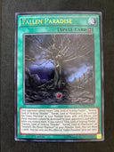 Yugioh Fallen Paradise DUSA-EN031 Ultra Rare 1st Edition NM