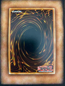 Yugioh Infernity Wildcat PHRA-EN017 Common 1st Edition NM/MINT