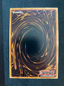 Yugioh Odd-Eyes Pendulumgraph Dragon MP23-EN079 Ultra Rare 1st Edition NM