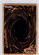 Yugioh Salamangreat Raging Phoenix RA04-EN083 Secret Rare 1st Edition NM