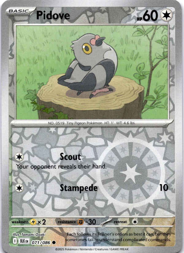 Pokemon Pidove 071/086 Black Bolt Reverse Holo NM