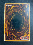 Yugioh Hand of Nephthys DR3-EN126 Common Unlimited Edition HP