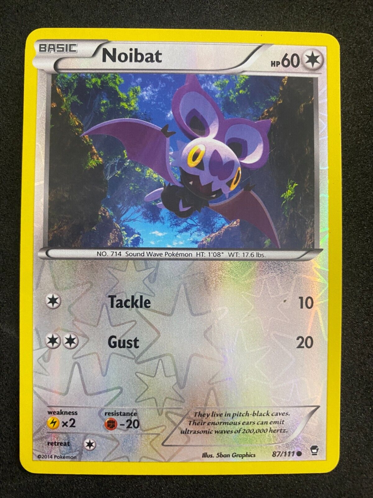 Pokemon Noibat 87/111 Furious Fists Reverse Holo LP