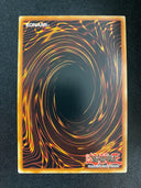 Yugioh Vennominaga the Deity of Poisonous Snakes ANGU-EN041 Rare 1st Edition NM