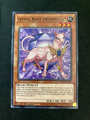 Yugioh Crystal Beast Amethyst Cat SDCB-EN002 Common 1st Edition NM