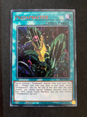 Yugioh Predapractice LDS3-EN079 Red Ultra Rare 1st Edition NM