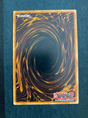 Yugioh Fossil Dig ANPR-EN062 Common Unlimited Edition MP