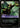 Riftbound Illaoi, Prophet of the Great Kraken 109/166 Vendetta Rare NM