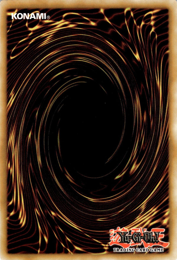 Yugioh Blackwing - Elphin the Raven MAZE-EN038 Rare 1st Edition NM