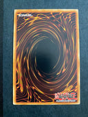 Yugioh Toon Rollback DLCS-EN075 Common 1st Edition NM