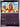 Pokemon Jynx 032/084 Pitch Black Reverse Holo NM