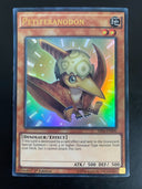 Yugioh Petiteranodon SR04-EN000 Ultra Rare 1st Edition Heavily Played