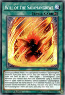 Yugioh Will of the Salamangreat SDSB-EN026 Common 1st Edition LP