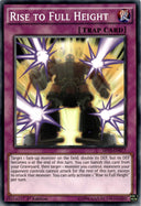 Yugioh Rise to Full Height SHVI-EN077 Common 1st Edition VLP/NM