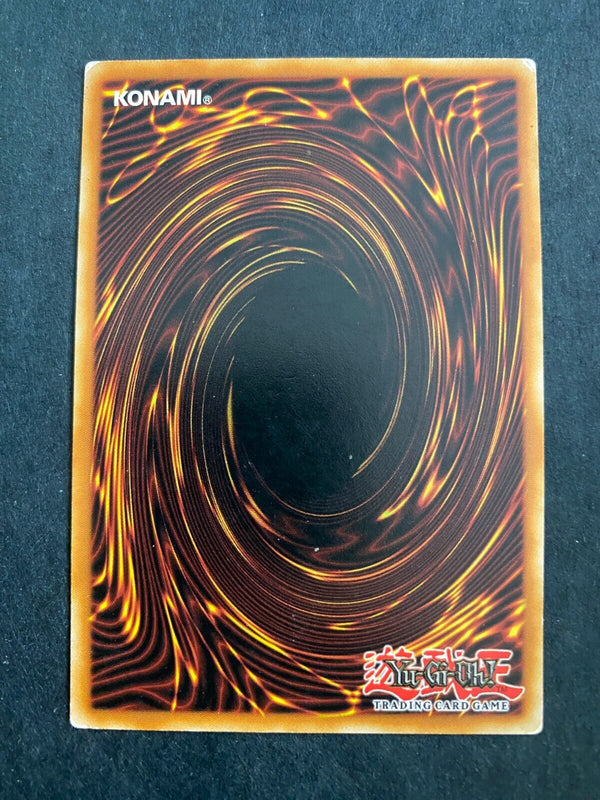 Yugioh Dedication through Light and Darkness DPRP-EN014 Common 1st Edition HP