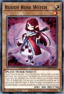 Yugioh Ruddy Rose Witch L5DD-ENA13 (3 Cards) Common 1st Edition NM