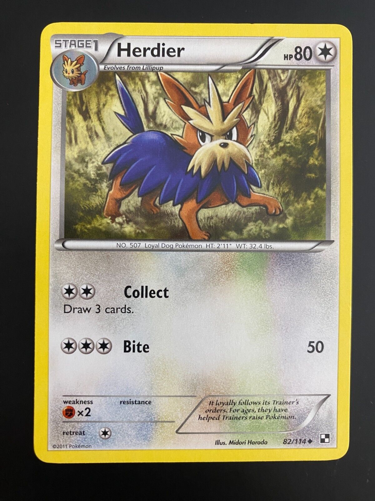 Pokemon Herdier 82/114 Black White Base Non Holo VLP