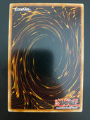 Yugioh Lycanthrope STON-EN032 1st Edition Common NM/MINT