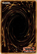 Yugioh Amazoness Fighting Spirit DREV-EN054 Common 1st Edition DAMAGED