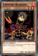 Yugioh Lonefire Blossom L5DD-ENA01 (3 Cards) Common 1st Edition NM